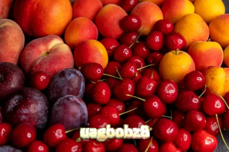 Koleksi slot terbaru dari Amusnet dengan tema musim panas dan buah-buahan.